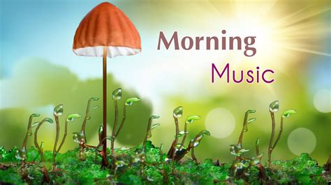 morning relaxing music|morning relaxing music positive background.